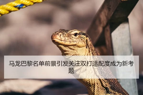 马龙巴黎名单前景引发关注双打适配度成为新考题