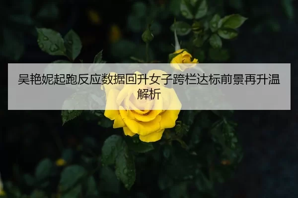 吴艳妮起跑反应数据回升女子跨栏达标前景再升温解析